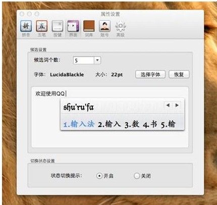 QQ输入法forMac