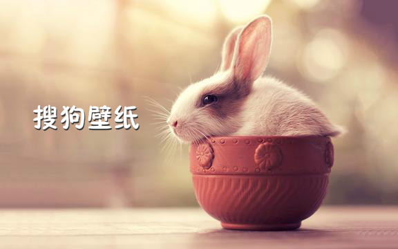搜狗壁纸
