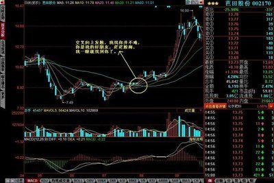 基于投资用户的smart user原理确定仓位，每周一盘前9点推送33只好股