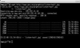 wget