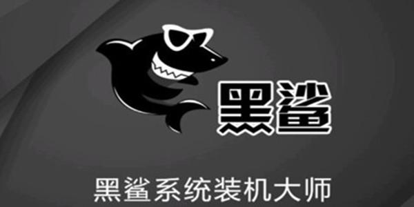 黑鲨装机大师