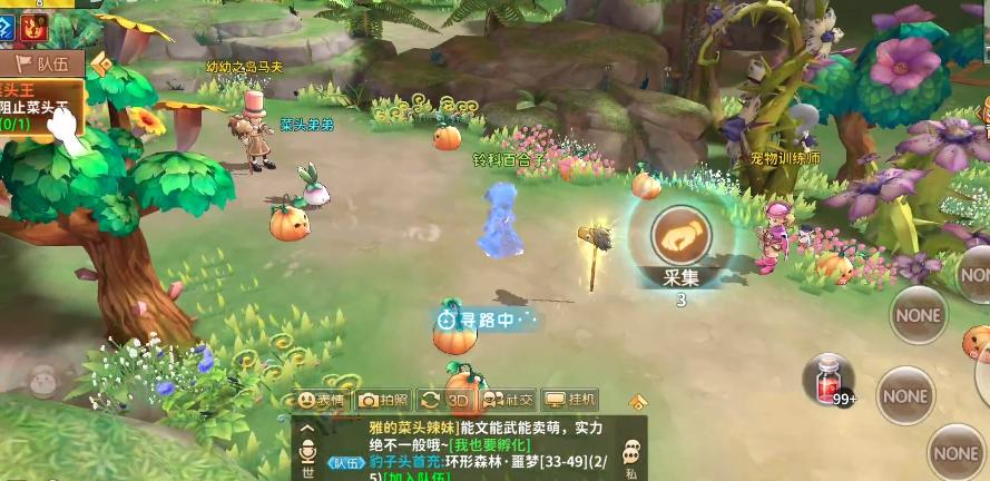 赛尔特大陆