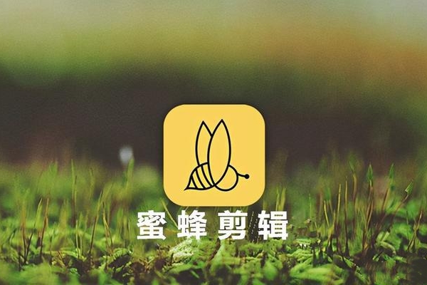 蜜蜂剪辑