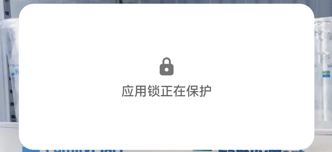 应用锁