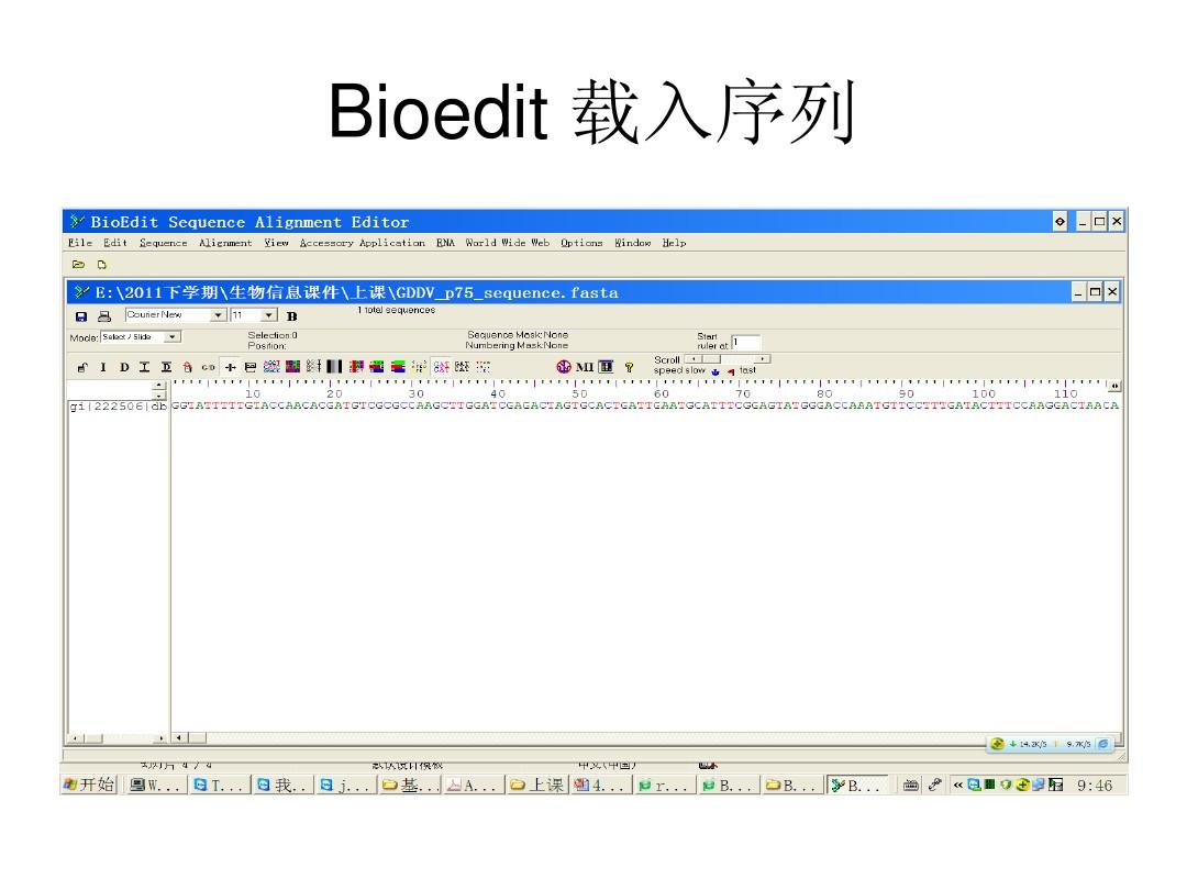 BioEdit