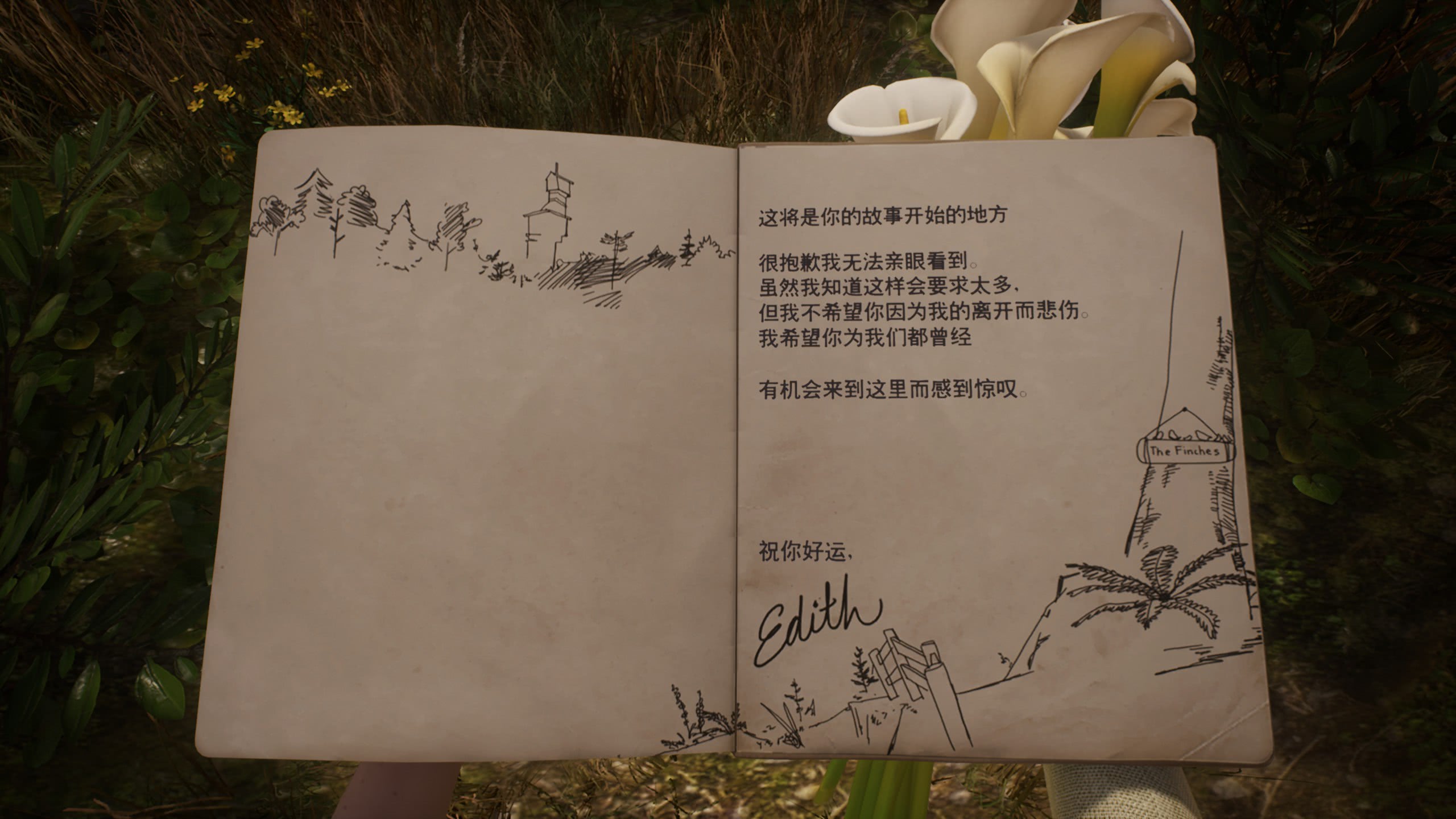 艾迪芬奇的记忆