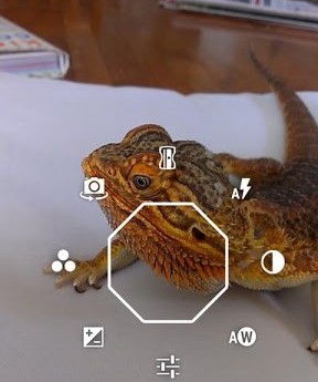 快照相机