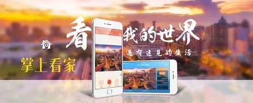 掌上看家