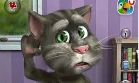 会说话的汤姆猫