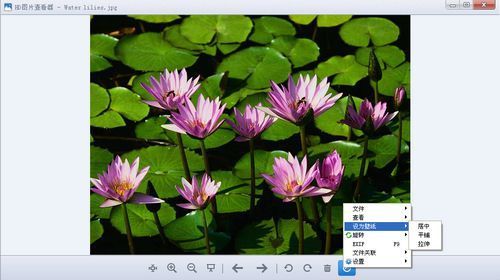 HD图片查看器