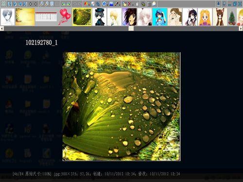 bkViewer 照片浏览器