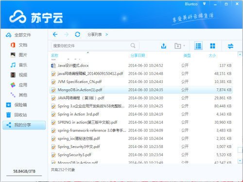 苏宁云 