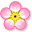 梅花英汉双语词典 