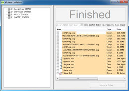 Kickass Undelete