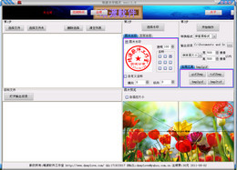 靖源水印精灵