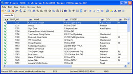 DBF Viewer 