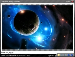 Common Image Viewer 