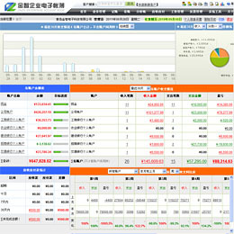 金智企业电子账簿 