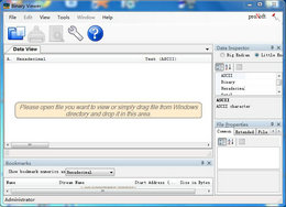 Binary Viewer 