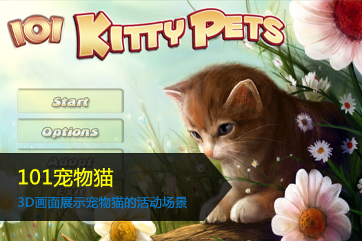 101宠物猫