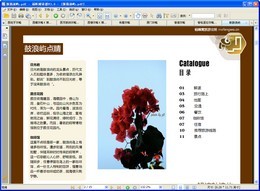 蚂蜂窝旅游攻略-鼓浪屿