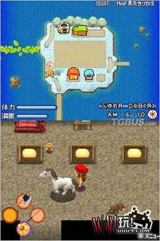 牧场物语 闪耀太阳 中文版