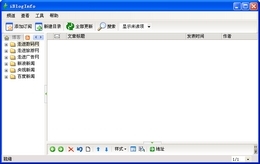 iBlogInfo 2006