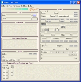 GSpot编码检测器