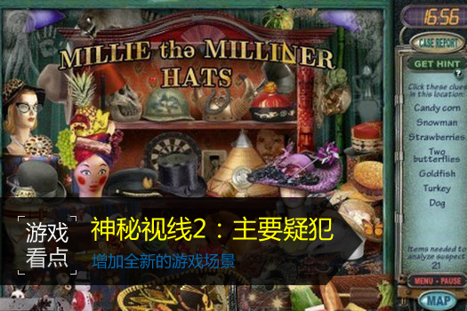 神秘视线2：主要疑犯