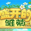 盛开的雏菊