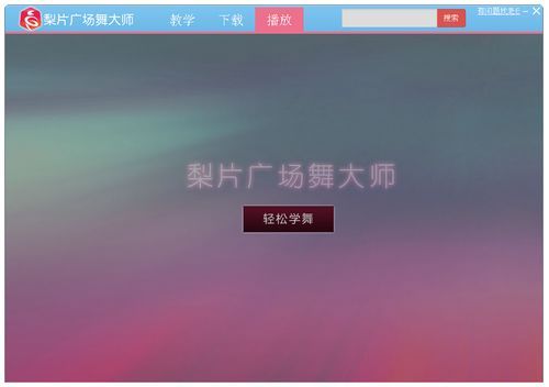 梨片广场舞大师