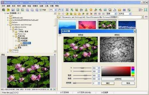 FastStone Image Viewer