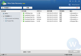 Wise Data Recovery