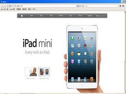 Safari for Windows