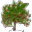 WinDirStat 磁盘文件大小分析
