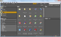 Adobe Bridge CC 2014