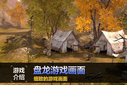 盘龙OL
