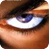 沙丘2000