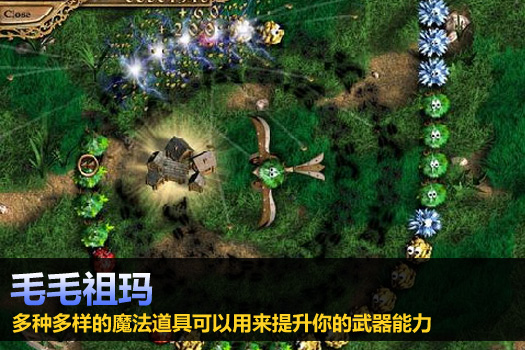 毛毛祖玛