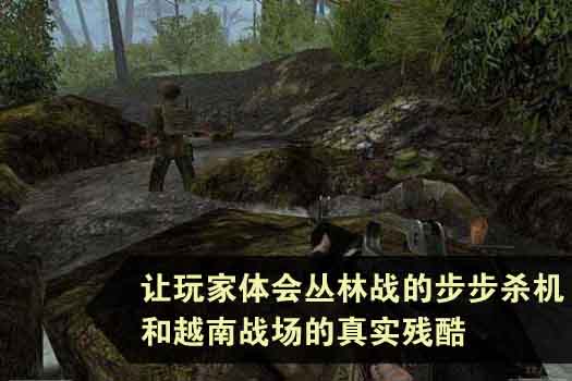 丛林之狐