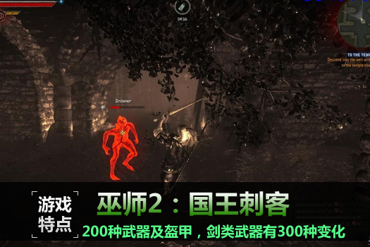 巫师2：刺客之王