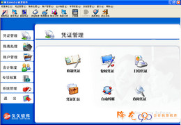 降龙990会计核算软件