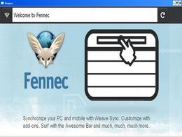 Fennec 火狐浏览器便携版 1.0 RC3